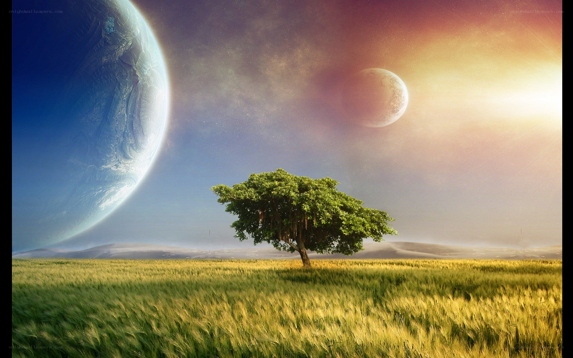Solitary tree on alien world
