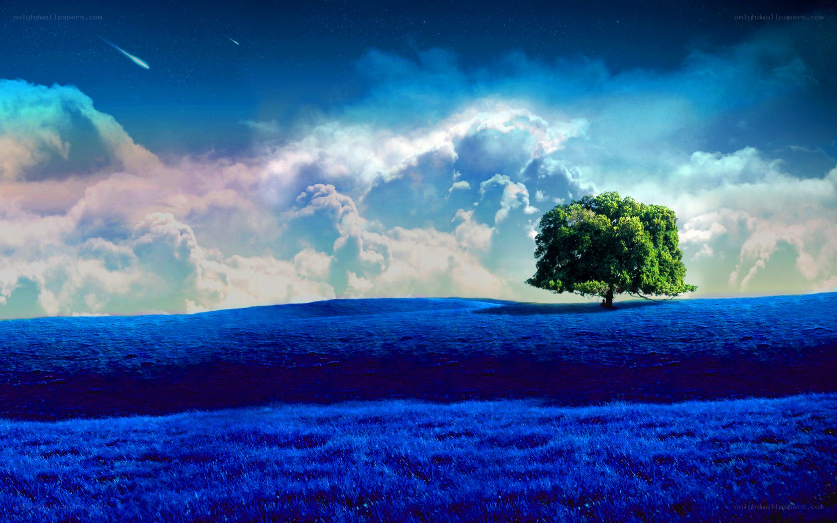solitary tree on blue hill