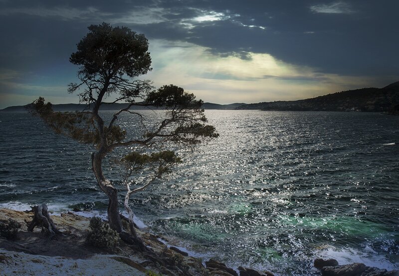 Solitary Tree on Cliff — Blue, Dramatic, Sunset