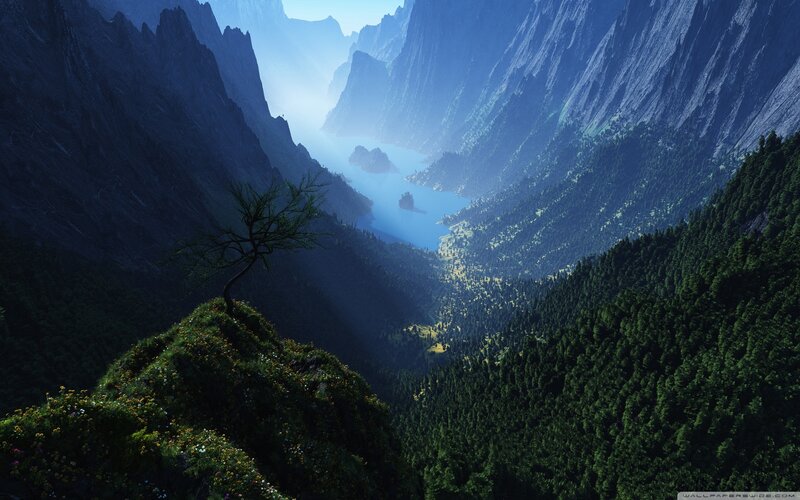 Solitary Tree on Cliff — Blue, Serene, Morning