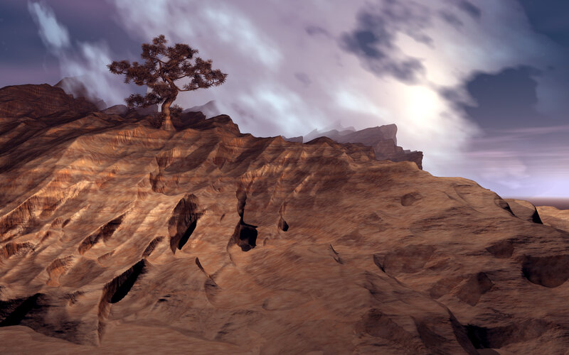 Solitary Tree on Cliff — Brown