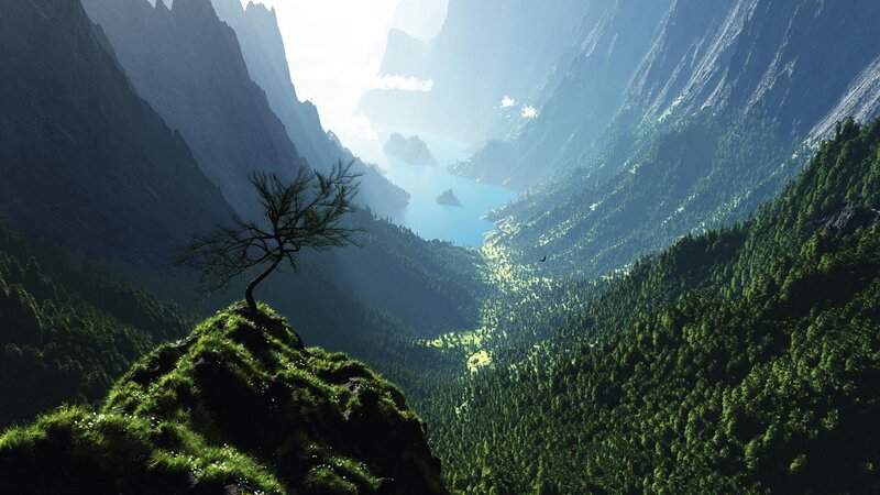 Solitary Tree on Cliff — Green, Serene, Morning, 3d Render