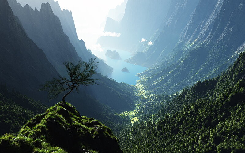Solitary Tree on Cliff — Green, Serene, Morning, Digital Art, Mountain