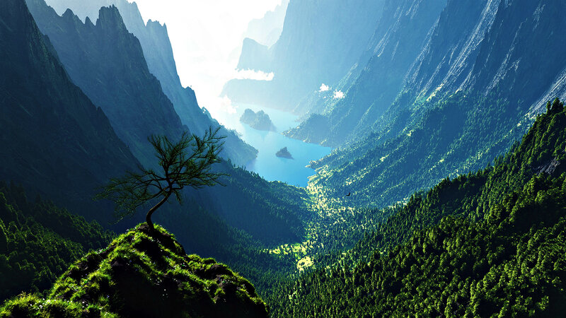 Solitary Tree on Cliff — Green, Serene, Morning, Digital Art