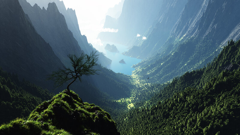 Solitary Tree on Cliff — Green, Serene, Morning