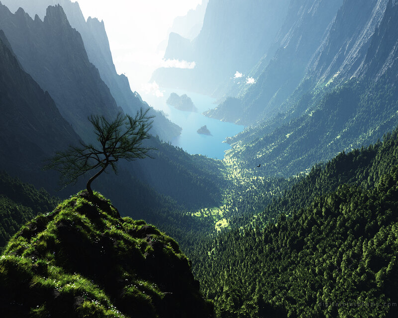 Solitary Tree on Cliff — Green, Serene