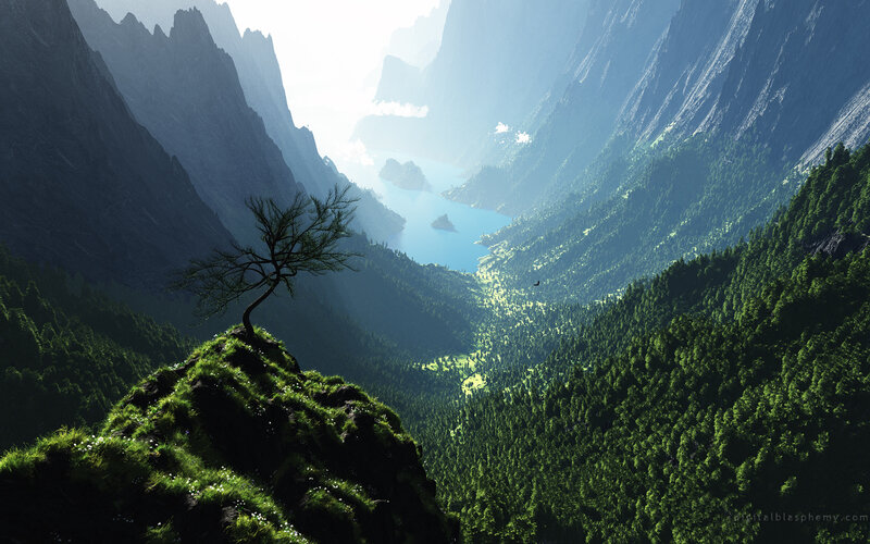 Solitary Tree on Cliff — Green