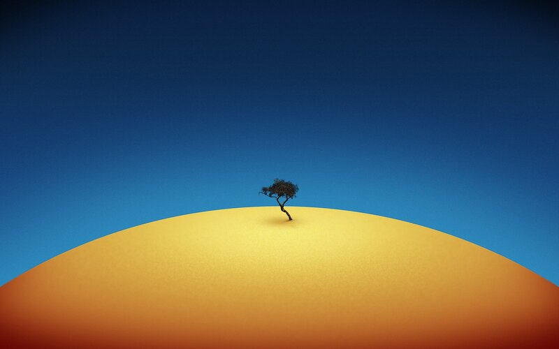 Solitary Tree on Dune — Blue