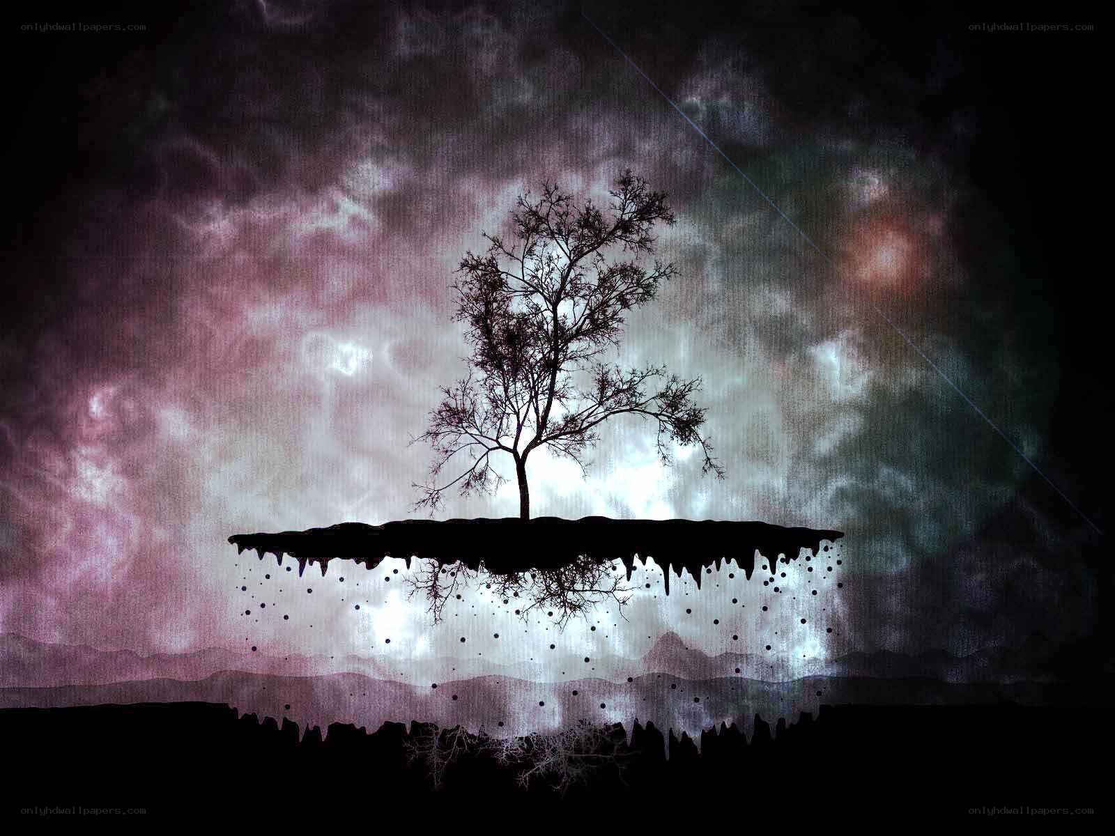 solitary tree on floating island