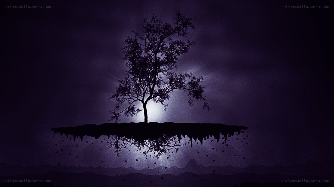 solitary tree on floating island