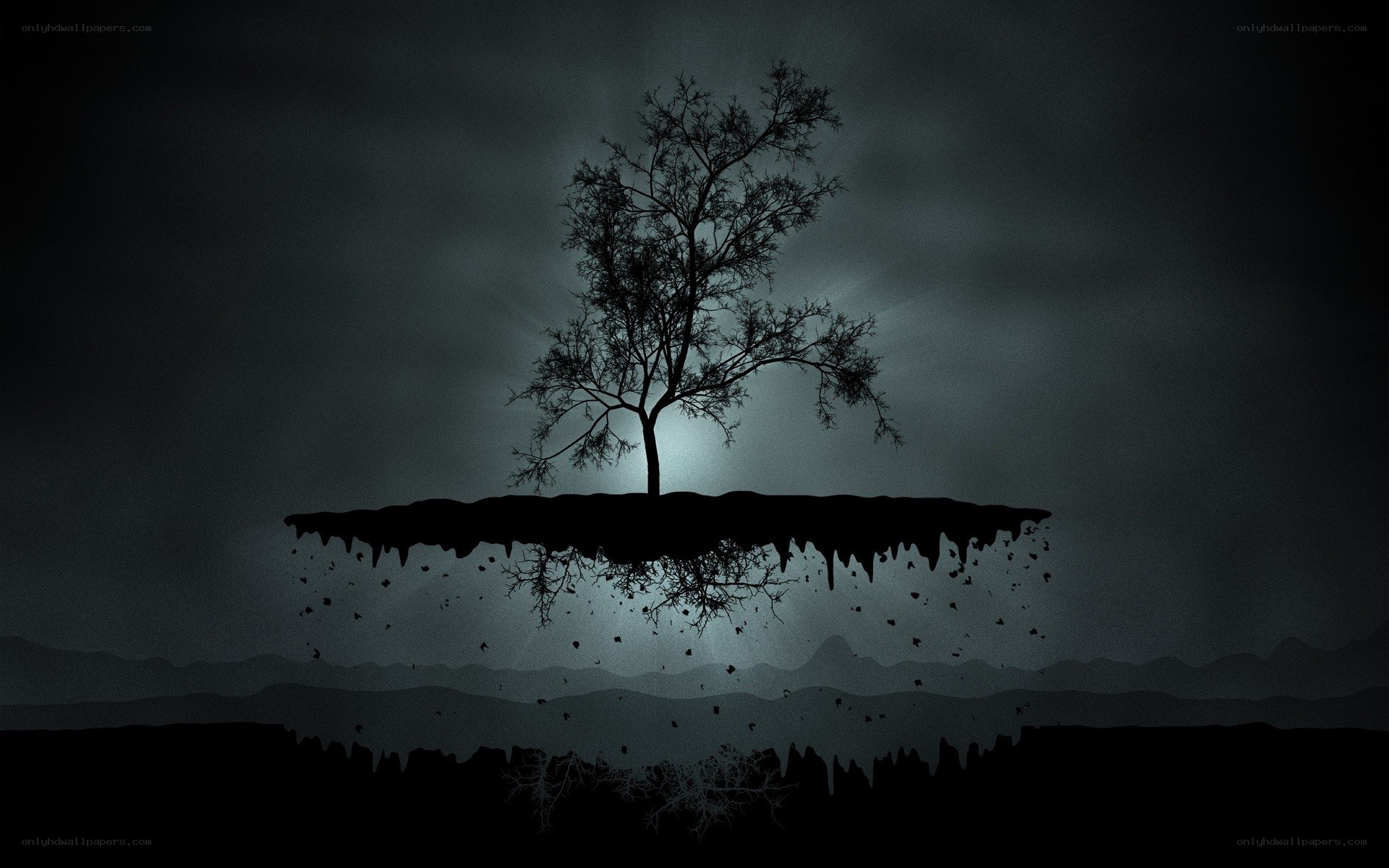 solitary tree on floating island