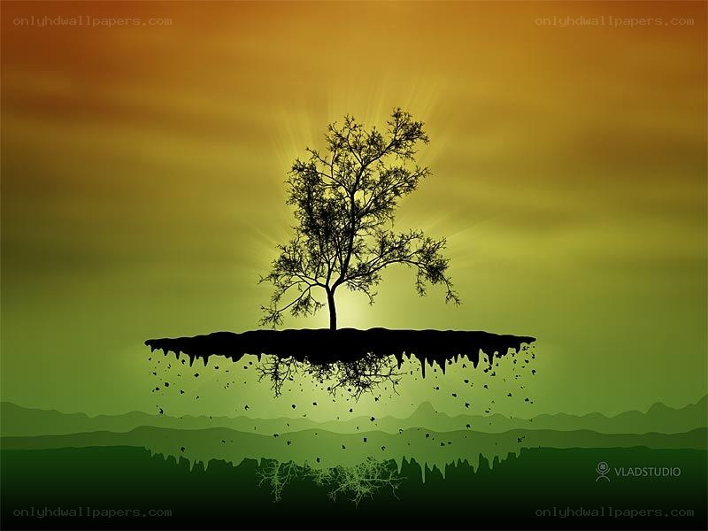 Solitary tree on floating island