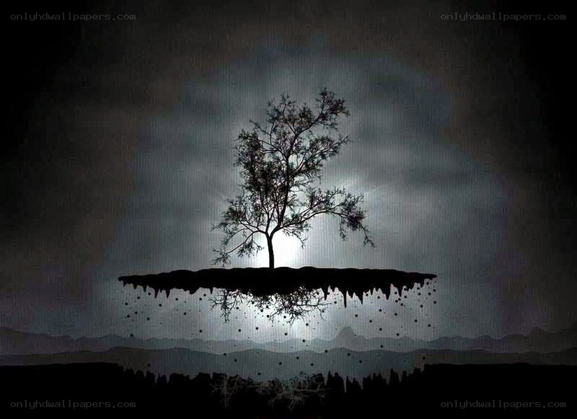 solitary tree on floating island