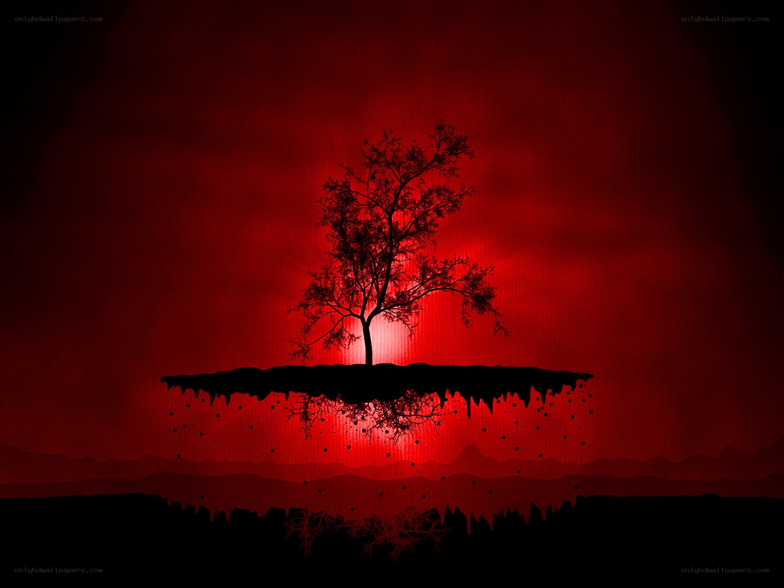 solitary tree on floating island