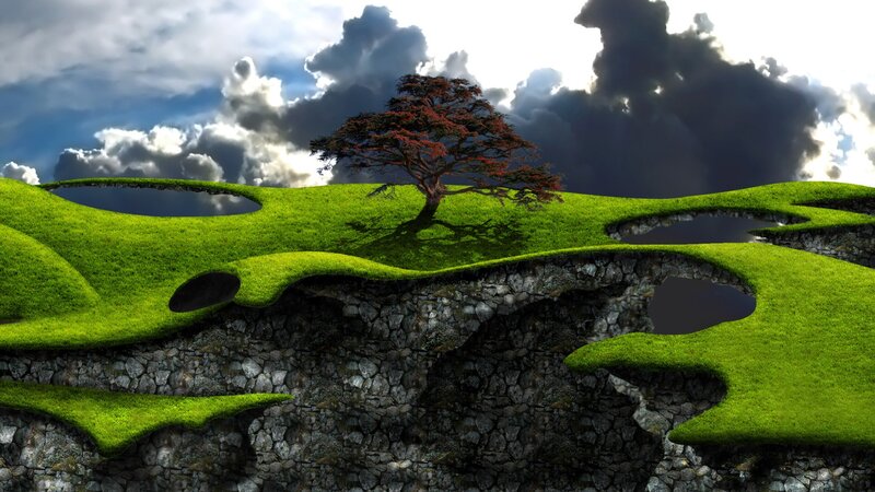 Solitary Tree on Grassy Cliffs