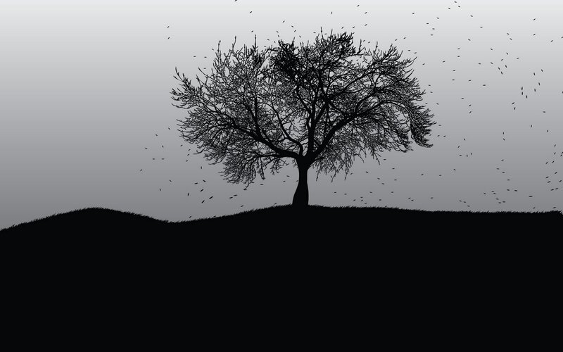 solitary tree on hill