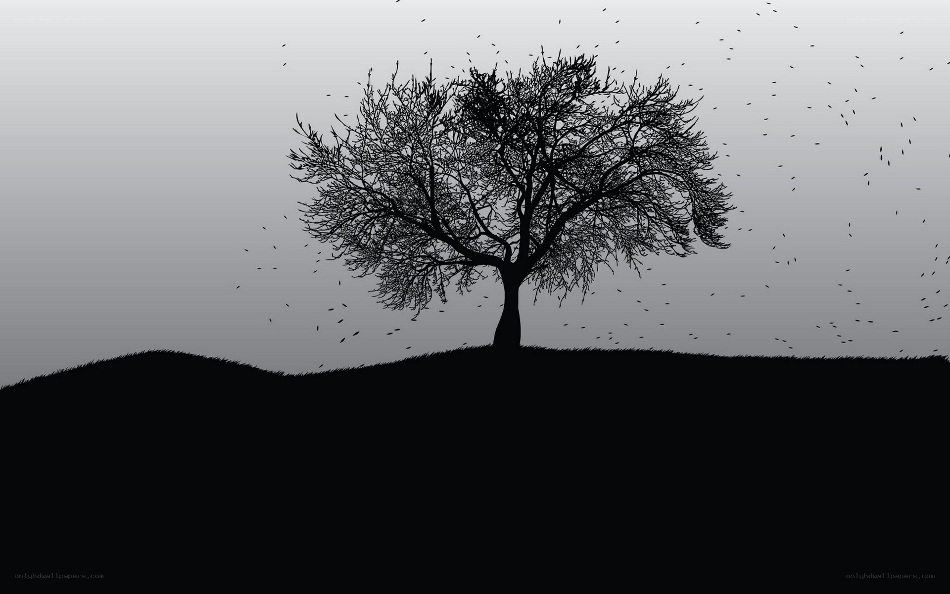 solitary tree on hill