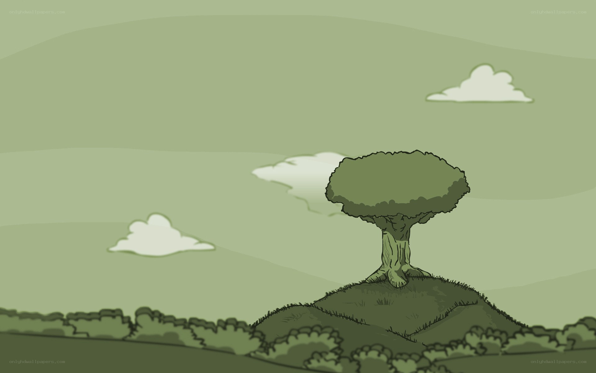 solitary tree on hill