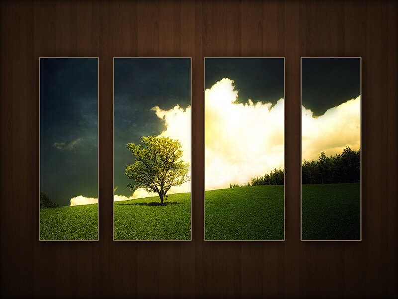 solitary tree on hill