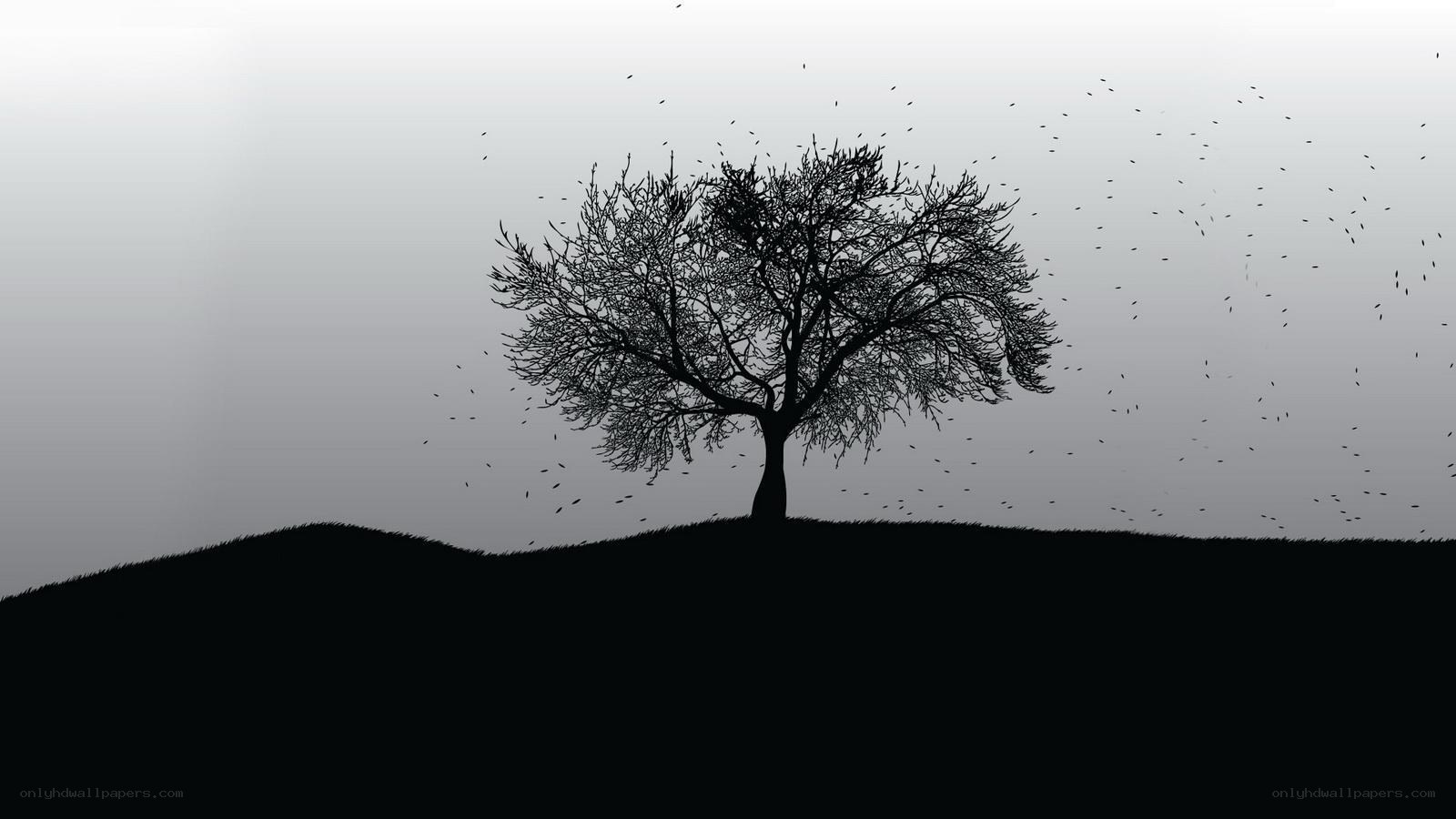 solitary tree on hill