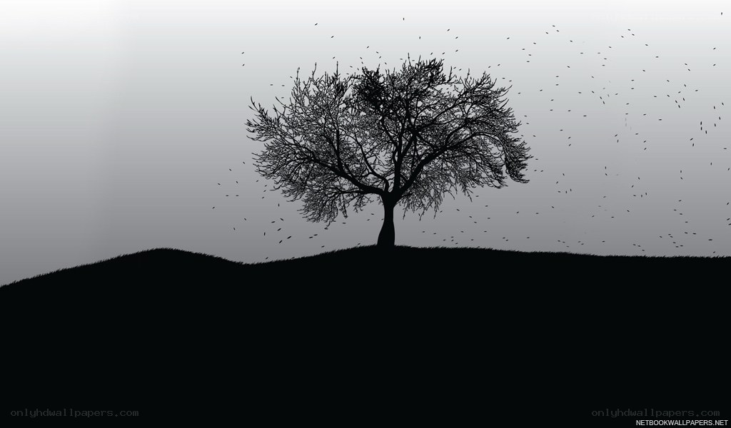 solitary tree on hill