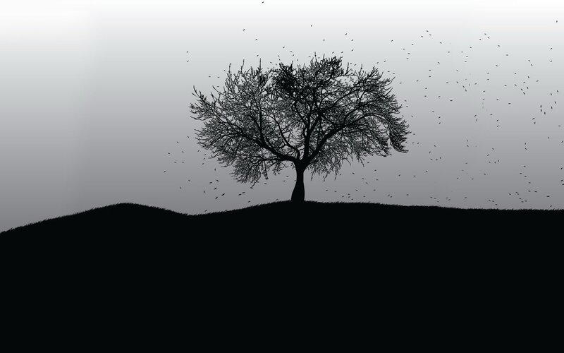 solitary tree on hill