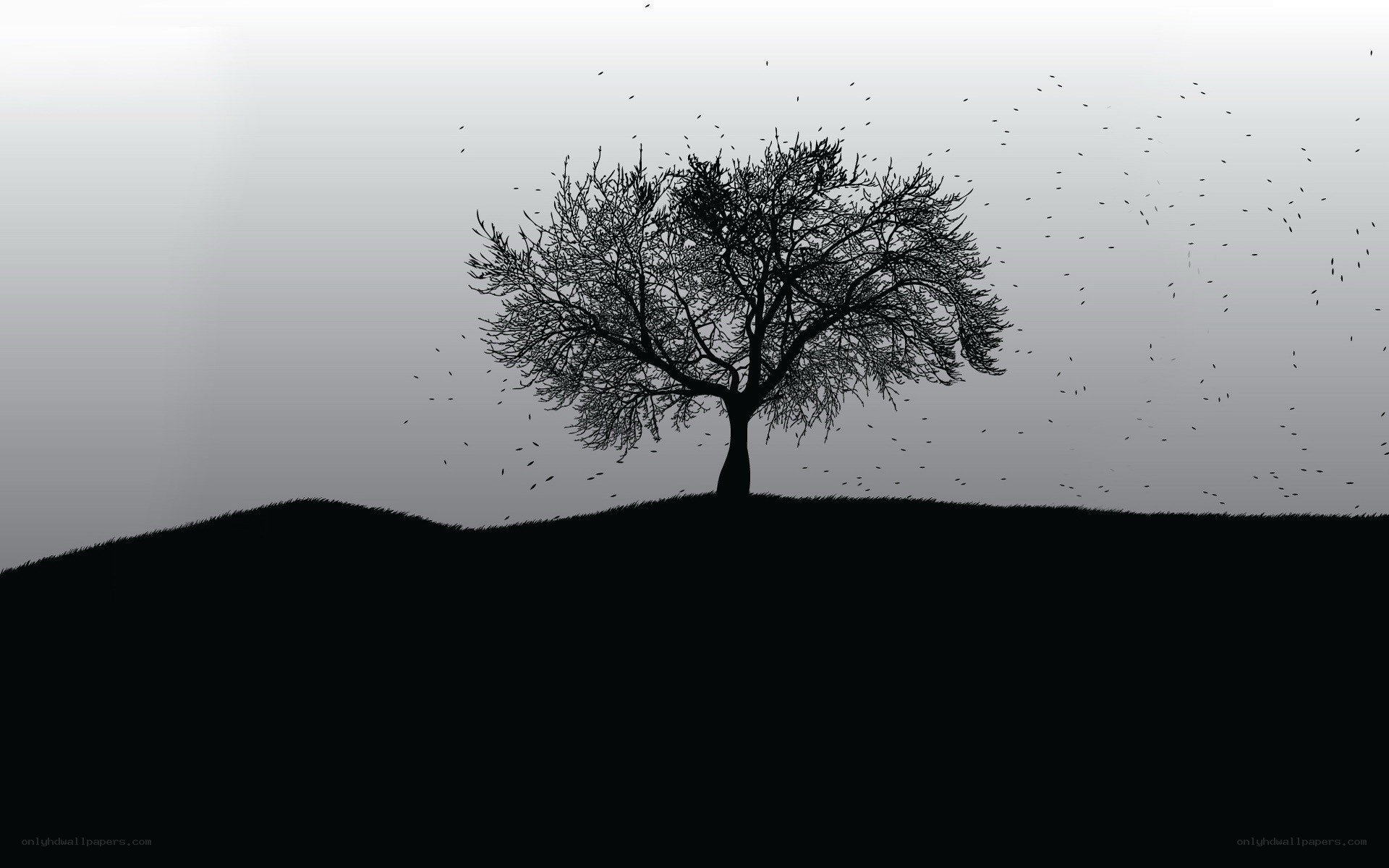 solitary tree on hill