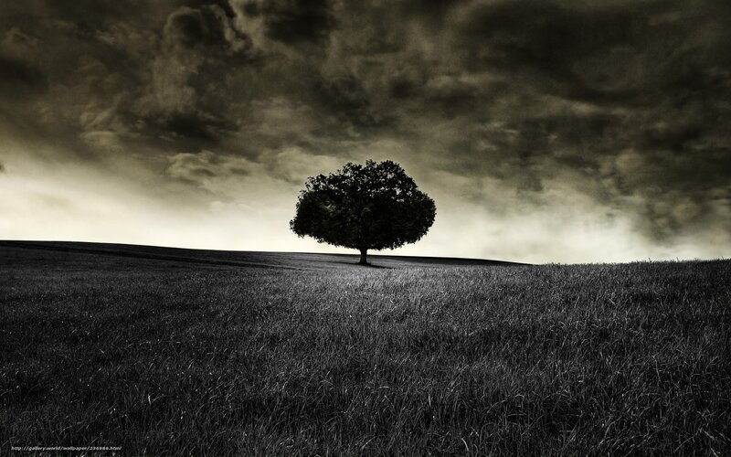 Solitary Tree on Hill — Black, Dramatic, Night