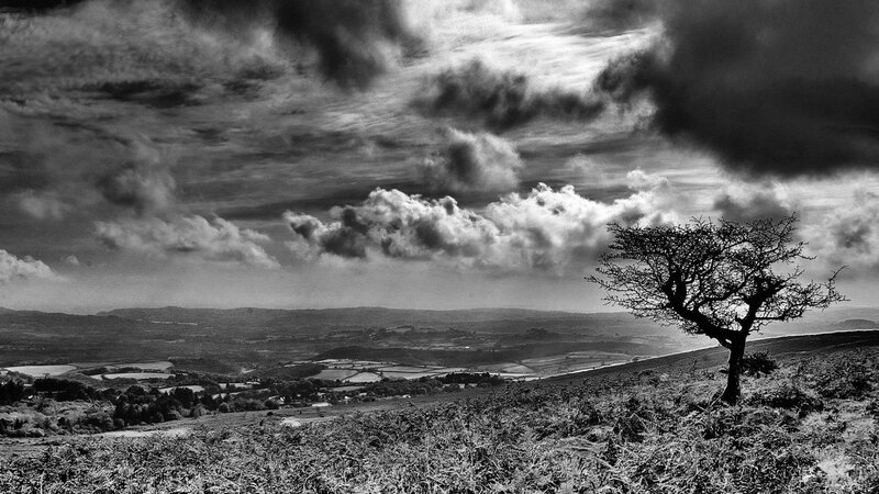 Solitary Tree on Hill — Black, Dramatic, Photograph, Clouds