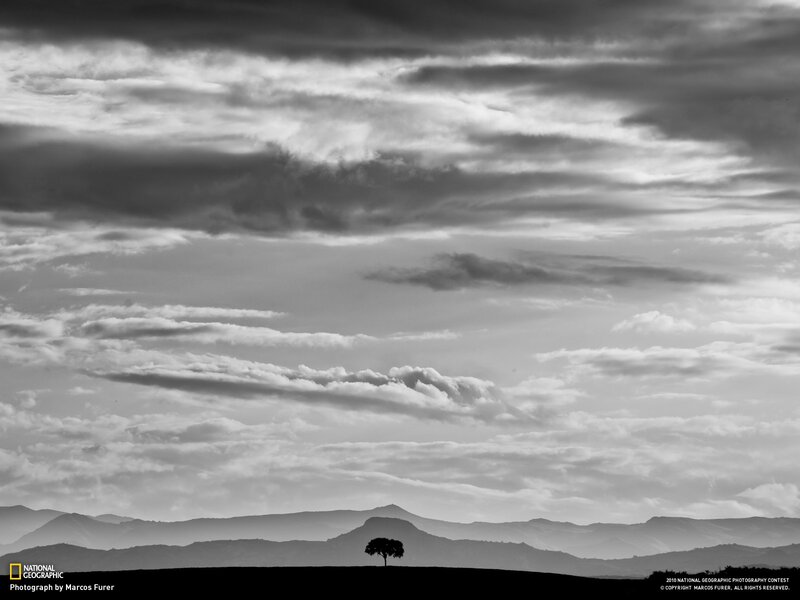 Solitary Tree on Hill — Black, Dramatic, Photograph, Mountains