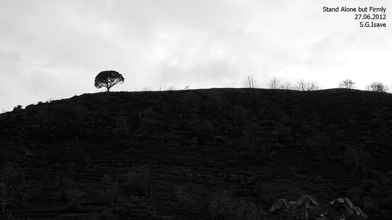Solitary Tree on Hill — Black, Dramatic, Photograph, Sky