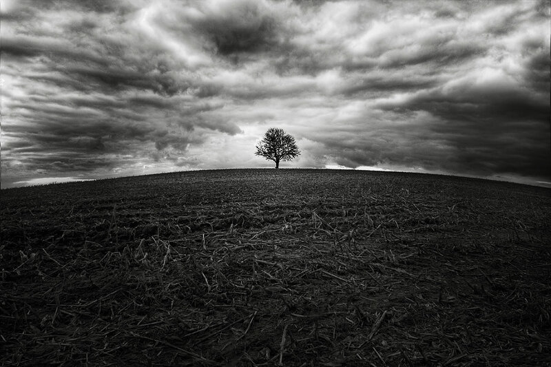 Solitary Tree on Hill — Black, Dramatic, Photograph