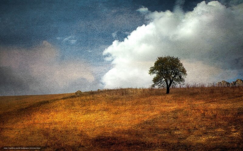 Solitary Tree on Hill — Blue, Dramatic, Afternoon, Painting, Clouds