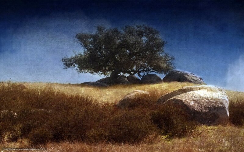 Solitary Tree on Hill — Blue, Dramatic, Afternoon, Painting