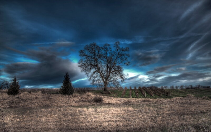 Solitary Tree on Hill — Blue, Dramatic, Autumn