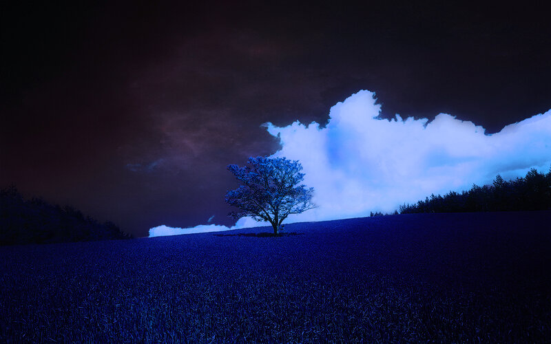 Solitary Tree on Hill — Blue, Dramatic, Night, Digital Art