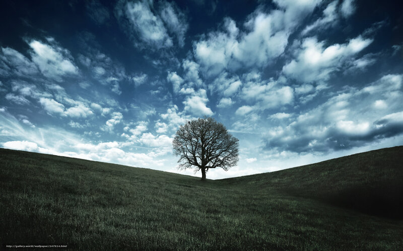 Solitary Tree on Hill — Blue, Dramatic, Photograph