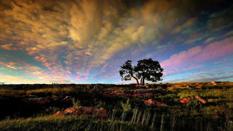 Solitary Tree on Hill — Blue, Dramatic, Sunset, Photograph, Clouds