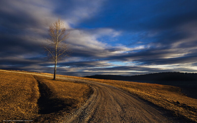 Solitary Tree on Hill — Blue, Dramatic, Sunset, Photograph, Road