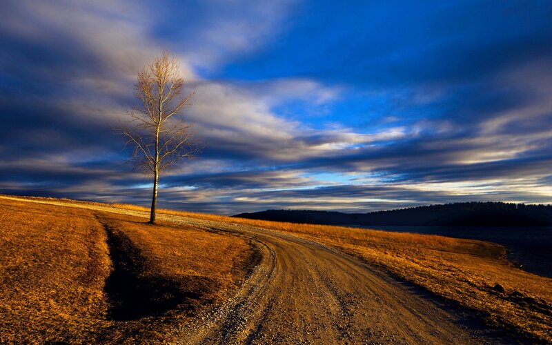 Solitary Tree on Hill — Blue, Dramatic, Sunset, Photograph