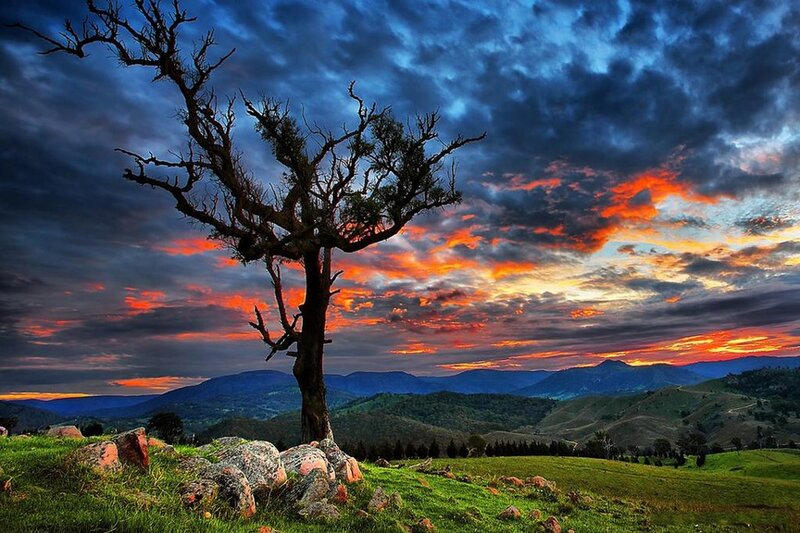 Solitary Tree on Hill — Blue, Dramatic, Sunset