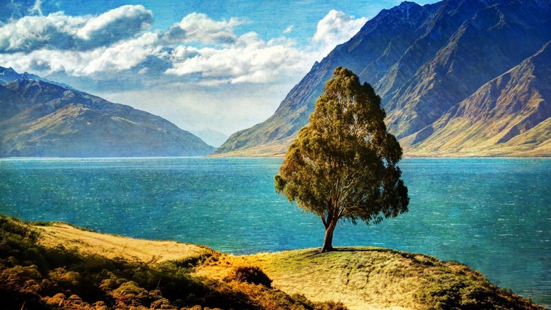 Solitary Tree on Hill — Blue, Serene, Afternoon, Photograph, Lake