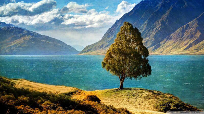 Solitary Tree on Hill — Blue, Serene, Afternoon