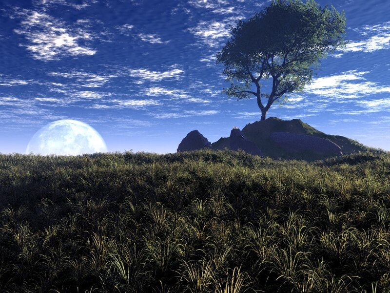 Solitary Tree on Hill — Blue, Serene, Night