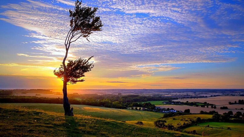 Solitary Tree on Hill — Blue, Serene, Sunset, Photograph, Fields