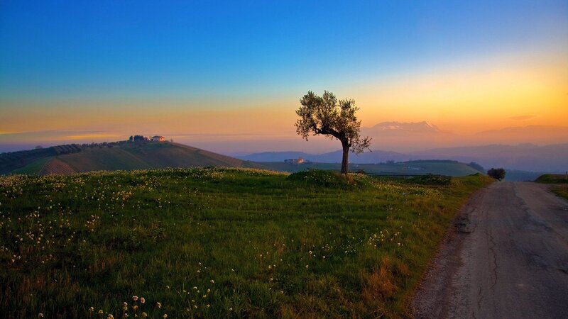 Solitary Tree on Hill — Blue, Serene, Sunset, Photograph, Road, Hills