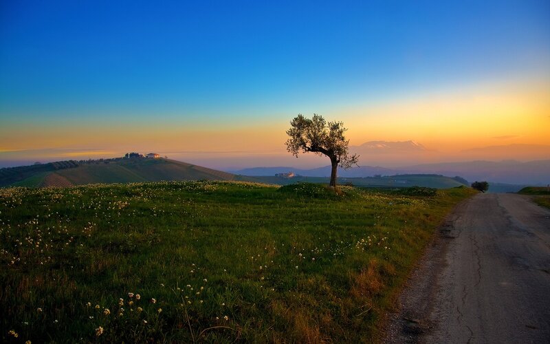 Solitary Tree on Hill — Blue, Serene, Sunset, Photograph, Road, Mountain, Field, Green, Yellow