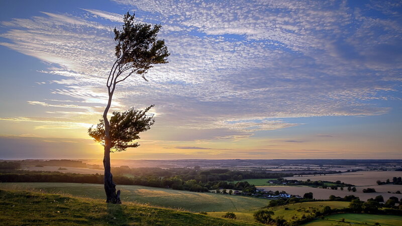 Solitary Tree on Hill — Blue, Serene, Sunset, Photograph, Sunrise