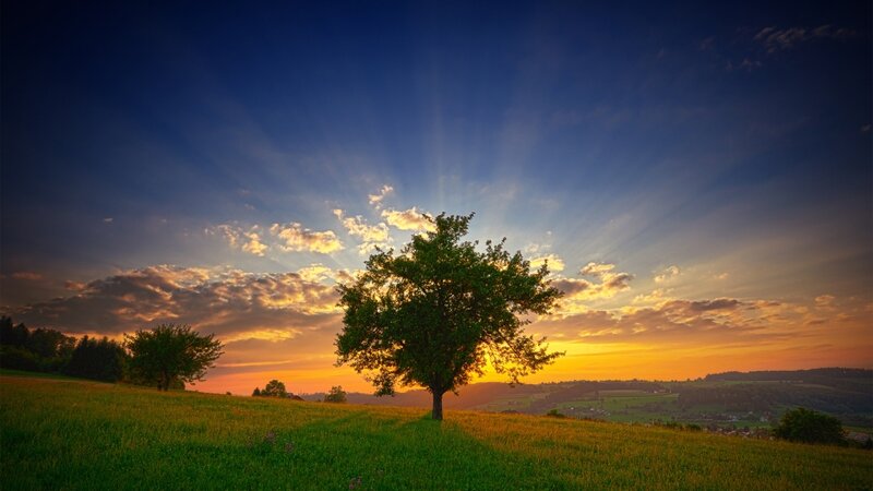 Solitary Tree on Hill — Blue, Serene, Sunset