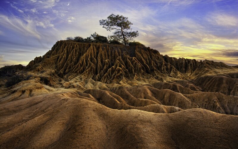 Solitary Tree on Hill — Brown, Dramatic, Sunset, Photograph, Sky, Moon